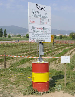 Blumen Selber Schneiden Blumen Selber Schneiden